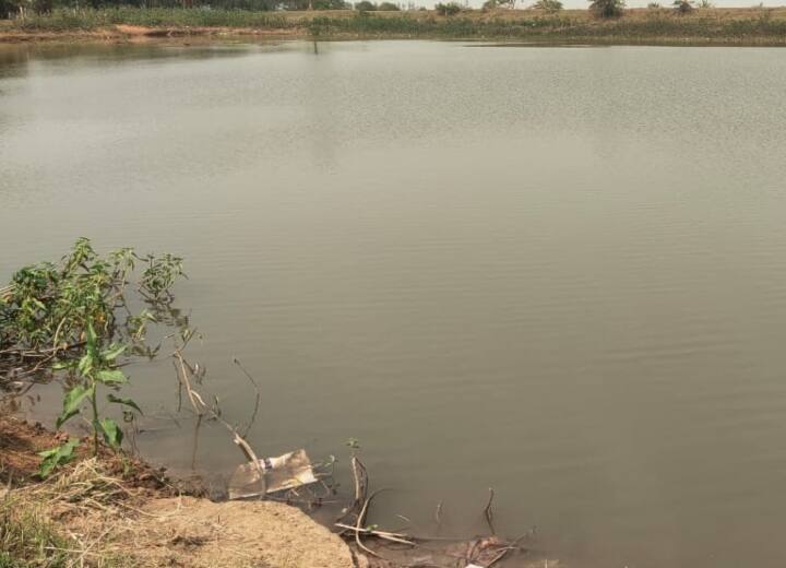 Chhattisgarh: बस्तर में तालाब में डूबने से तीन बच्चों की मौत, गर्मी से राहत पाने के लिए गए थे नहाने Bastar Three children Died Drowning In Pond Went To Get Relief From Heat ANN Chhattisgarh: बस्तर में तालाब में डूबने से तीन बच्चों की मौत, गर्मी से राहत पाने के लिए गए थे नहाने