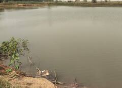 बस्तर में तालाब में डूबने से तीन बच्चों की मौत, गर्मी से राहत पाने के लिए गए थे नहाने