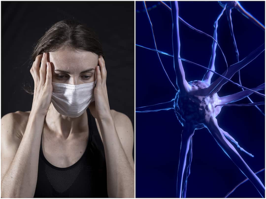 Highly Risk Factors Of Brain Tumor Brain Tumor: ఈ పనులు అతిగా చేస్తే బ్రెయిన్ ట్యూమర్ వస్తుందట, జాగ్రత్త