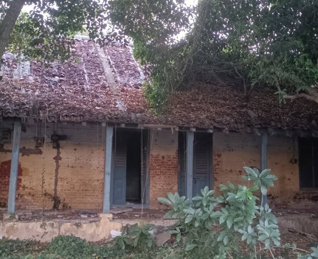 Dilapidated court building in Tiruvarur - Social activists demand construction of educational institutes திருவாரூரில் பாழடைந்த நீதிமன்றம் கட்டிடம் - கல்வி நிறுவனங்கள் கட்ட சமூக ஆர்வலர்கள் கோரிக்கை
