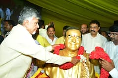 Chandrababu Birthday: రాష్ట్రవ్యాప్తంగా చంద్రబాబు బర్త్ డే వేడుకలు - కేక్ కట్ చేస్తూ సంబరాలు