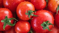 Vegetables Care: তাজা সবজি ফ্রিজে রাখলে কি পুষ্টিগুণ কমে যায় ?