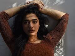 ఎర్రచందనపు బొమ్మలా మెరిసిపోతున్న'రొమాంటిక్' హీరోయిన్ కేతిక శర్మ