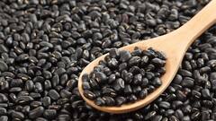 சித்திரைப்பட்டத்தில் அதிக விளைச்சல் பெற வம்பன்-11 ரக உளுந்து சாகுபடி செய்ய ஆலோசனை