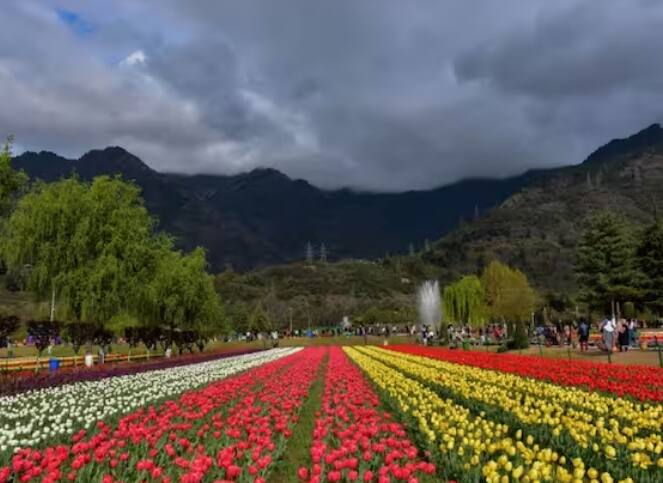 ਜੇਕਰ ਅਸੀਂ ਇੱਥੇ ਆਉਣ ਵਾਲੇ ਸੈਲਾਨੀਆਂ ਨਾਲ ਪਿਛਲੇ ਸਾਲ ਦੀ ਤੁਲਨਾ ਕਰੀਏ ਤਾਂ ਪਿਛਲੇ ਸਾਲ 3.6 ਲੱਖ ਸੈਲਾਨੀਆਂ ਨੇ ਗਾਰਡਨ ਦਾ ਦੌਰਾ ਕੀਤਾ ਸੀ।