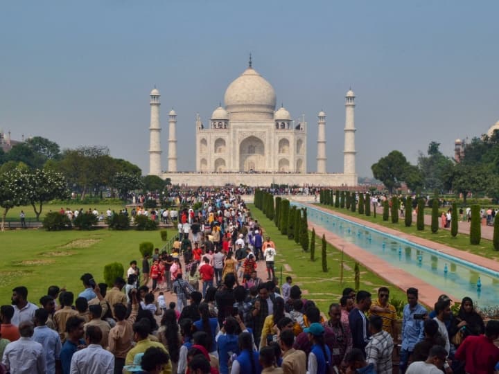 UP Agra Taj Mahal Goldy Chironomous Insects Attack on White Marble Agra News: ताजमहल की खूबसूरती बिगाड़ रहे 'काइरोनोमस' नाम के कीड़े, संगमरमर पर बढ़ते जा रहे धब्बे