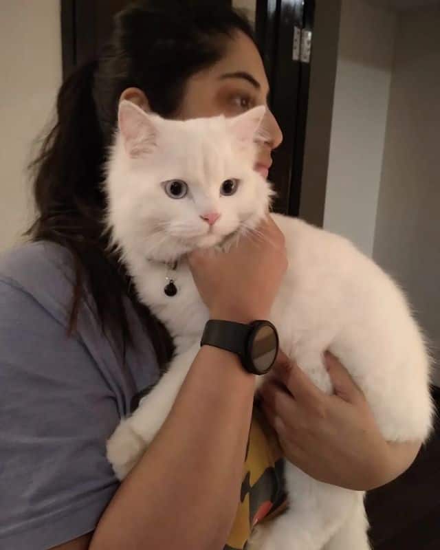 மக்களின் மனதில் கோலிவுட்டின் க்யூட் கப்புள் என்ற பெயரையும் வாங்கி விட்டனர்.