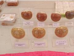 In Pics: जोधपुर में मिलेट्स महोत्सव के दौरान किसानों में दिखा भारी उत्साह, केंद्रीय मंत्री ने दी ये सलाह