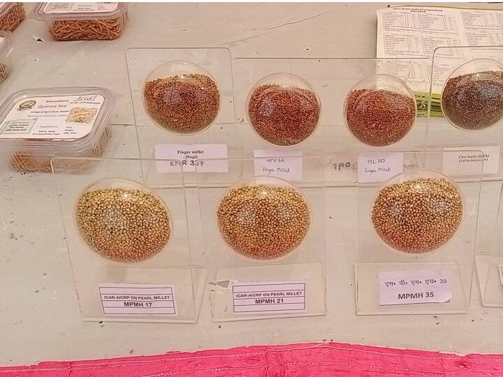 केंद्रीय जल शक्ति मंत्री गजेंद्र सिंह शेखावत ने किसानों को आह्वान किया कि वे समय की जरूरत को ध्यान में रखते हुए फूड प्रोसेसिंग की उपयोगिता समझें और कृषि में आए वैश्विक बदलावों के अनुरूप स्वयं को तैयार कर उद्योगपति बनें. शेखावत शुक्रवार को काजरी की ओर से आयोजित मिलेट्स (श्री अन्न) पर आधारित किसान मेले और प्रदर्शनी को मुख्य अतिथि के रूप में संबोधित कर रहे थे.