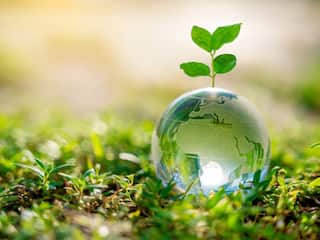 Happy Earth Day 2023: Wishes And Messages That You Can Share On This Day