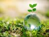 Happy Earth Day 2023: Wishes And Messages That You Can Share On This Day