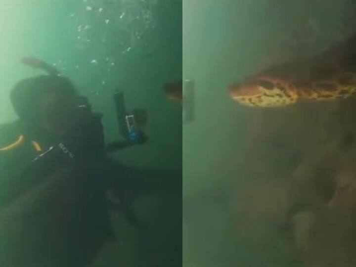 23 feet long anaconda came in front of two divers in Brazil Viral video Video: जब पानी के नीचे गोताखोरों के सामने आ गया 23 फीट लंबा एनाकोंडा... कैमरे पर जो रिएक्ट किया वो वायरल हो गया
