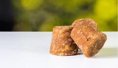 ਦਹੀ ਨਾਲ ਭੁੱਲ ਕੇ ਵੀ ਨਾ ਖਾਓ ਇਹ 6 ਚੀਜ਼ਾਂ, ਨਹੀਂ ਤਾਂ ਖਰਾਬ ਹੋ ਜਾਵੇਗੀ ਸਿਹਤ