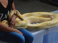 इस जीव में होती हैं सबसे ज्यादा हड्डियां, इसके शिकंजे में फसने के बाद दम तोड देता है शिकार!