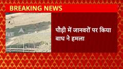 Pauri में जानवरों पर किया बाघ ने हमला, वीडियो आया सामने | Pauri News Today