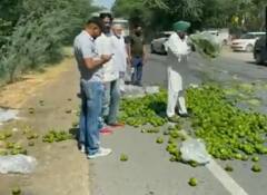 Agriculture News : ढोबळी मिरचीला 1 रुपयांचा दर, पंजाबमधील शेतकरी आक्रमक