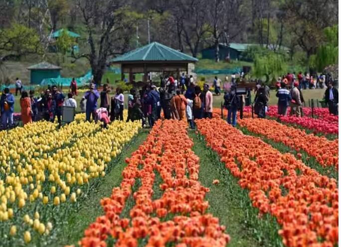 ਇੰਚਾਰਜ ਰਹਿਮਾਨ ਨੇ ਕਿਹਾ, ਟਿਊਲਿਪ ਗਾਰਡਨ ਨੇ ਕਸ਼ਮੀਰ ਵਿੱਚ ਸੈਰ ਸਪਾਟੇ ਦੇ ਸੀਜ਼ਨ ਨੂੰ ਉਤਸ਼ਾਹਿਤ ਕਰਨ ਵਿੱਚ ਅਹਿਮ ਭੂਮਿਕਾ ਨਿਭਾਈ ਹੈ।