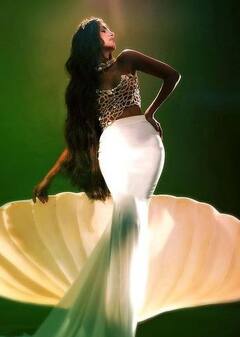 Tara Sutaria: 'ਅਪਸਰਾ ਵਰਗੀ ਖੂਬਸੂਰਤ...', ਮਰਮੇਡ ਬਣੀ ਤਾਰਾ ਸੁਤਾਰੀਆ, ਤਸਵੀਰਾਂ ਦੇਖ ਕੇ ਯੂਜ਼ਰਸ ਨੇ ਦਿੱਤਾ ਜਬਰਦਸਤ ਰਿਐਕਸ਼ਨ