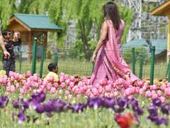 Tulip Garden Srinagar: लोगों को भाया श्रीनगर का ट्यूलिप गार्डन, इस साल 32 दिन में आए रिकॉर्ड पर्यटक, देखें तस्वीरें