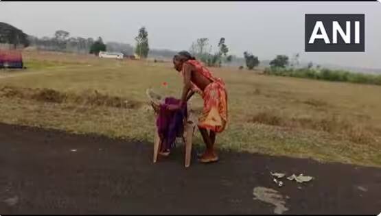 video-of-old-woman-walking-on-support-of-chair-to-collect-pension-from-sbi-goes-viral-fm-nirmala-sitharaman-asks-are-they-no-bank-mitra SBI Update: পেনশন পেতে হাড়ভাঙা খাটুনি ! বৃদ্ধ মহিলার ভিডিও দেখে ক্ষুব্ধ অর্থমন্ত্রী, কী বলল এসবিআই  ?