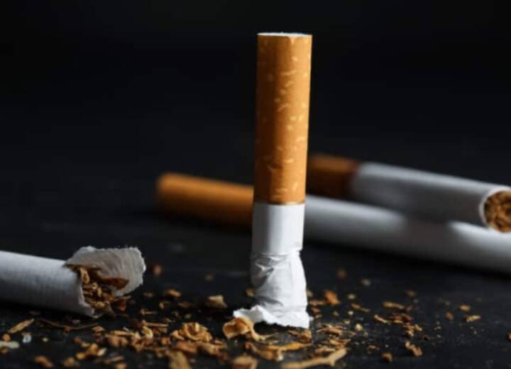 Netherlands: बढ़ते नशे की लत के कारण नीदरलैंड्स सरकार ने लिया फैसला, निकोटीन पाउच पर लगा बैन Netherlands bans sale of of nicotine pouches Netherlands: बढ़ते नशे की लत के कारण नीदरलैंड्स सरकार ने लिया फैसला, निकोटीन पाउच पर लगा बैन