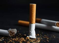 बढ़ते नशे की लत के कारण नीदरलैंड्स सरकार ने लिया फैसला, निकोटीन पाउच पर लगा बैन