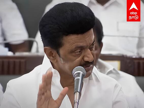 MK Stalin Speech : கொடநாடு விவகாரம்... ஏன் தடுமாறுறீங்க? EPS-க்கு ஸ்டாலின் கேள்வி!