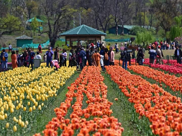 इस साल यहां आने वाले पर्यटकों से पिछले साल की तुलना करें तो पिछले साल 3.6 लाख पर्यटकों ने गार्डन का दौरा किया था.