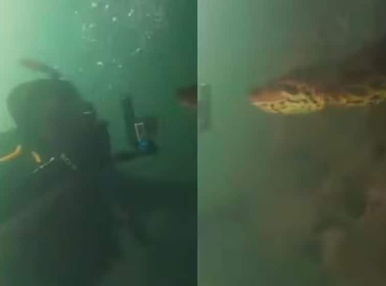 23 feet long anaconda came in front of two divers in brazil viral video Viral Video: ਜਦੋਂ ਪਾਣੀ ਦੇ ਹੇਠਾਂ ਗੋਤਾਖੋਰਾਂ ਦੇ ਸਾਹਮਣੇ ਆਇਆ 23 ਫੁੱਟ ਲੰਬਾ ਐਨਾਕਾਂਡਾ, ਕੈਮਰੇ 'ਤੇ ਵਾਇਰਲ ਹੋਇਆ ਪ੍ਰਤੀਕਰਮ