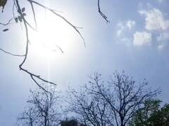 बिहार में होगी राहत की बारिश! मेघ गर्जन के साथ बूंदाबांदी की भी संभावना, मौसम विभाग ने की भविष्यवाणी