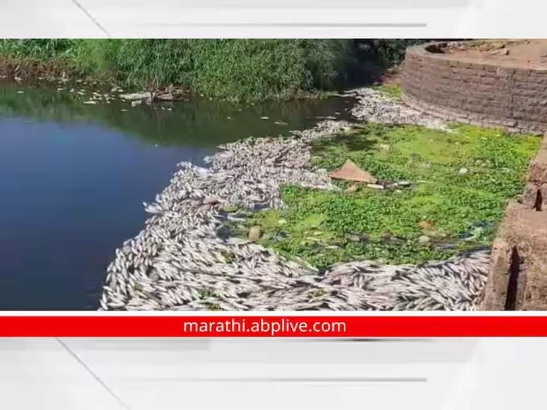 Panchganga River Pollution : पंचगंगा नदी प्रदूषण अहवाल तीन महिन्यांत सादर करण्याचे राष्ट्रीय हरित लवादाकडून आदेश National Green Tribunal orders submit report of Panchganga river pollution within three months Kolhapur maharashtra news update Panchganga River Pollution : पंचगंगा नदी प्रदूषण अहवाल तीन महिन्यांत सादर करण्याचे राष्ट्रीय हरित लवादाकडून आदेश