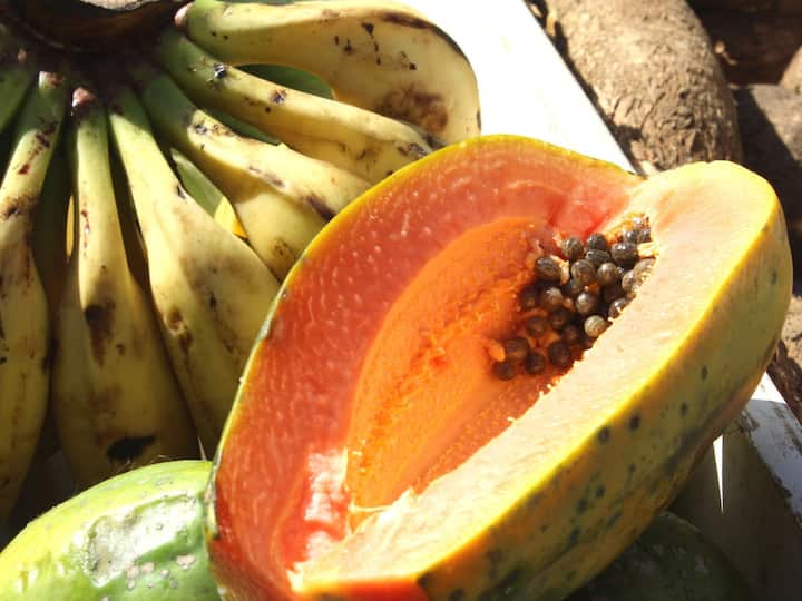 Papaya Bad Food Combinations : पपई हे आरोग्यासाठी आवश्यक फळ आहे. याचे जसे फायदे आहेत तसेच तोटेसुध्दा आहेत. पपईसोबत जर तुम्ही 'ही' फळं खाल्ली तर तुमच्या आरोग्यावर वाईट परिणाम होण्याची शक्यता आहे.