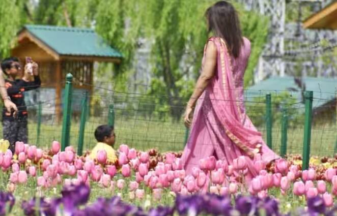 ਹਾਲਾਂਕਿ ਟਿਊਲਿਪ ਗਾਰਡਨ ਦਾ ਸਮਾਂ ਖਤਮ ਹੋ ਰਿਹਾ ਹੈ, ਫਿਰ ਵੀ ਵੱਡੀ ਗਿਣਤੀ ਵਿੱਚ ਸੈਲਾਨੀ ਬਾਗ ਦਾ ਦੌਰਾ ਕਰ ਰਹੇ ਹਨ।