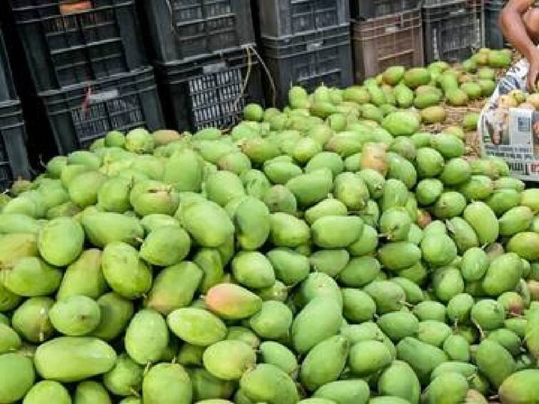 chennai koyambedu market vegetable price list for 21st april know full list Vegetable Price: மாங்காய் சீசன் ஸ்டார்ட் ஆயிடுச்சு மக்களே.. கிலோ ரூபாய் 15 மட்டுமே.. மற்ற காய்கறிகளின் விலை நிலவரம் இதோ..