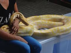 ਇਸ ਜੀਵ ‘ਚ ਹੁੰਦੀਆਂ ਸਭ ਤੋਂ ਜ਼ਿਆਦਾ ਹੱਡੀਆਂ, ਇਸ ਦੇ ਸ਼ਿਕੰਜੇ ‘ਚ ਫਸਣ ਤੋਂ ਬਾਅਦ ਦਮ ਤੋੜ ਦਿੰਦਾ ਹੈ ਸ਼ਿਕਾਰ