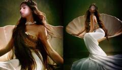 Tara Sutaria: 'ਅਪਸਰਾ ਵਰਗੀ ਖੂਬਸੂਰਤ...', ਮਰਮੇਡ ਬਣੀ ਤਾਰਾ ਸੁਤਾਰੀਆ, ਤਸਵੀਰਾਂ ਦੇਖ ਕੇ ਯੂਜ਼ਰਸ ਨੇ ਦਿੱਤਾ ਜਬਰਦਸਤ ਰਿਐਕਸ਼ਨ