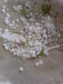 Rain : राज्याच्या विविध भागात अवकाळी पाऊस