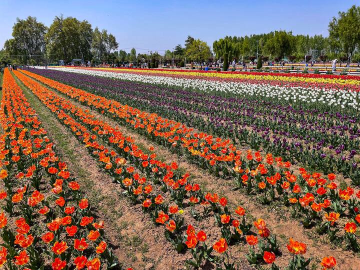 उद्घाटनच्या कार्यक्रमाला परदेशातील देखील पर्यटक उपस्थित होते.