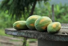 ਪੱਕਿਆ ਹੋਇਆ ਅਤੇ ਮਿੱਠਾ ਪਪੀਤਾ ਖਰੀਦਣਾ ਚਾਹੁੰਦੇ ਹੋ ਤਾਂ ਦੁਕਾਨ 'ਤੇ ਹੀ ਚੈੱਕ ਕਰ ਲਓ ਇਹ ਚੀਜ਼ਾਂ