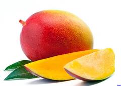 Mango : अवकाळी पावसाचा देशातील आंबा उत्पादकांना फटका