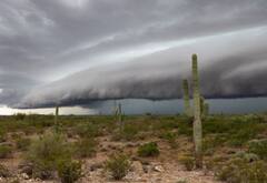 Weather : देशातील विविध राज्यात अवकाळी पाऊस, आजही पावसाचा अंदाज