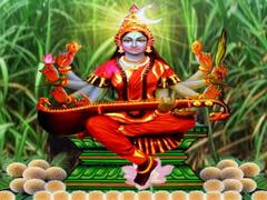Matangi jayanti: ஈசனின் வடிவம்... இன்று மாதங்கி ஜெயந்தி வழிபாடு..! சிறப்புகள் என்ன?