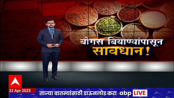 Fake Seeds Special Report : बोगस बियाणांपासून सावधान? कसे ओळखाल बोगस बियाणं?