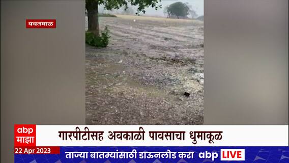 Yavatmal Hailstorms : यवतमाळमध्ये वादळी वाऱ्यामुळे झाडांची पडझड, गारपीटीसह आवकाळीचा धुमाकूळ