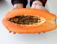 ਪੱਕਿਆ ਹੋਇਆ ਅਤੇ ਮਿੱਠਾ ਪਪੀਤਾ ਖਰੀਦਣਾ ਚਾਹੁੰਦੇ ਹੋ ਤਾਂ ਦੁਕਾਨ 'ਤੇ ਹੀ ਚੈੱਕ ਕਰ ਲਓ ਇਹ ਚੀਜ਼ਾਂ