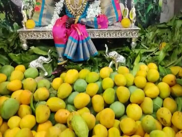 साडेतीन मुहूर्तांपैकी एक असलेल्या अक्षय्य तृतीयाच्या मुहूर्तावर देवीच्या गाभाऱ्यात हापूस आंब्याची आरास करण्यात आली.