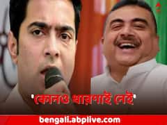 'কেন্দ্রীয় মন্ত্রক কীভাবে কাজ করে, কোনও ধারণাই নেই', অভিষেককে নিশানা শুভেন্দুর