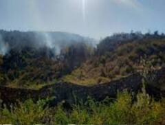 मन्नत पूरी होने पर जंगल में आग लगा देते हैं ग्रामीण, तंग आकर वन विभाग को लेना पड़ा ये फैसला