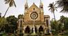 Mumbai University :एलएलबीची सहाव्या सत्राची परीक्षा तोंडावर तरी परीक्षेचे अर्ज भरून घेतले नाहीत, मुंबई विद्यापीठाचा ढिसाळ कारभार कायम 