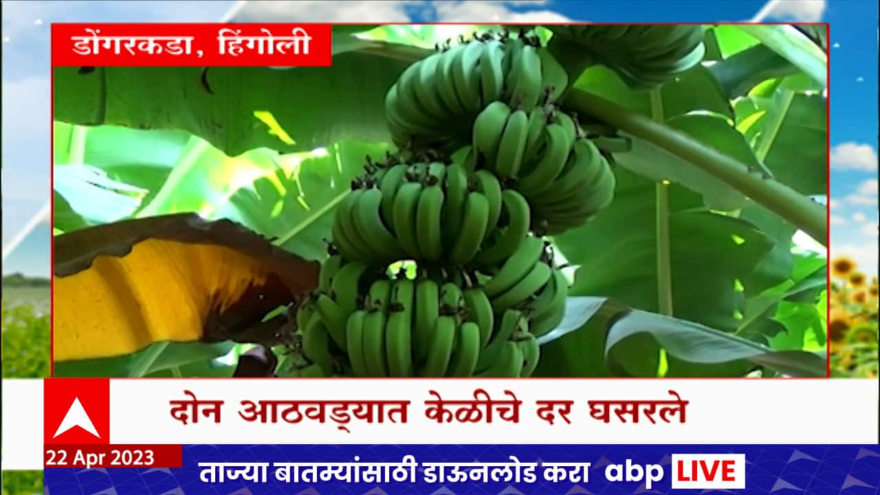 ABP News ABP News